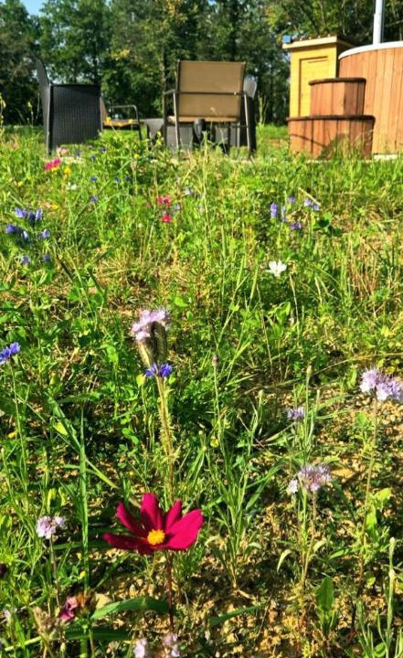 Photo of Outdoor in Peyrusse-Grande