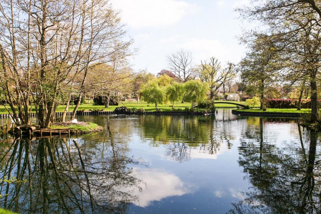 Photo of Others in Strumpshaw