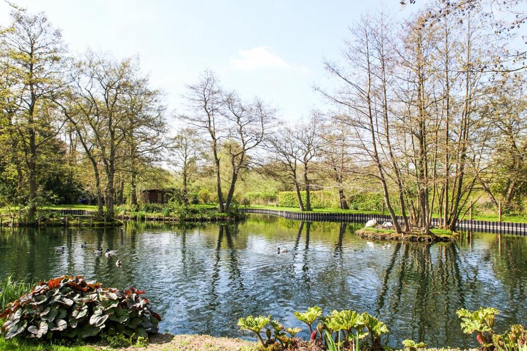 Photo of Others in Strumpshaw