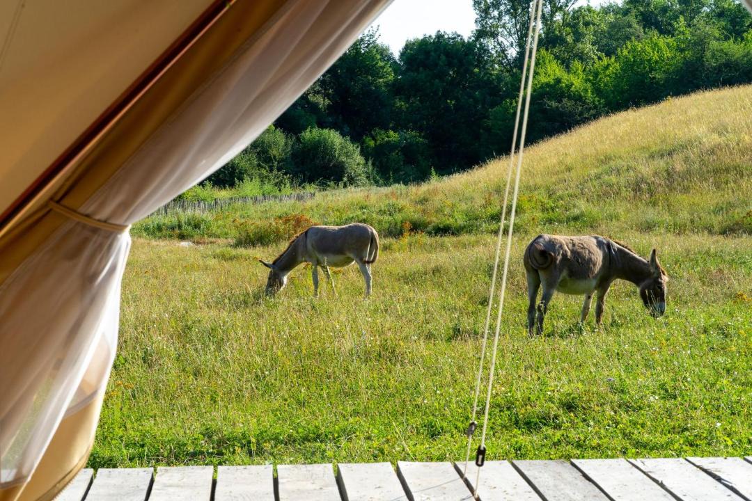 Photo of Others in Vif