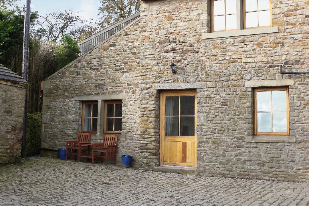 Photo of Others in Fence