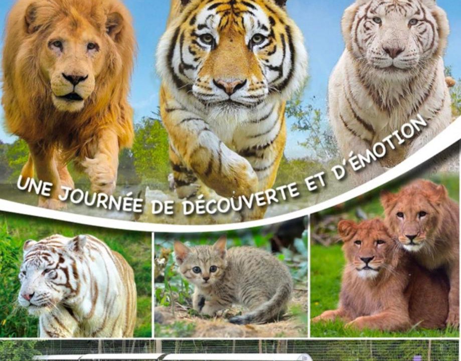 Photo of Others in Favieres