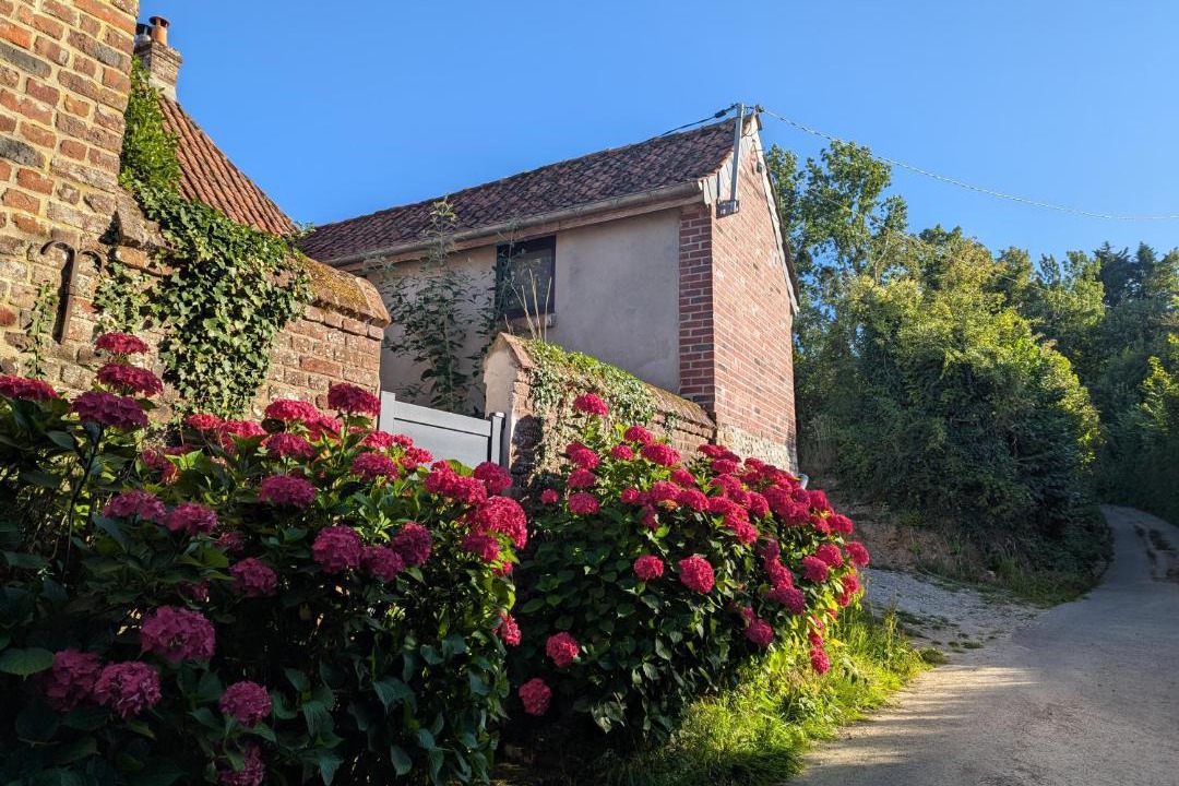 Photo of Others in Beaurainville