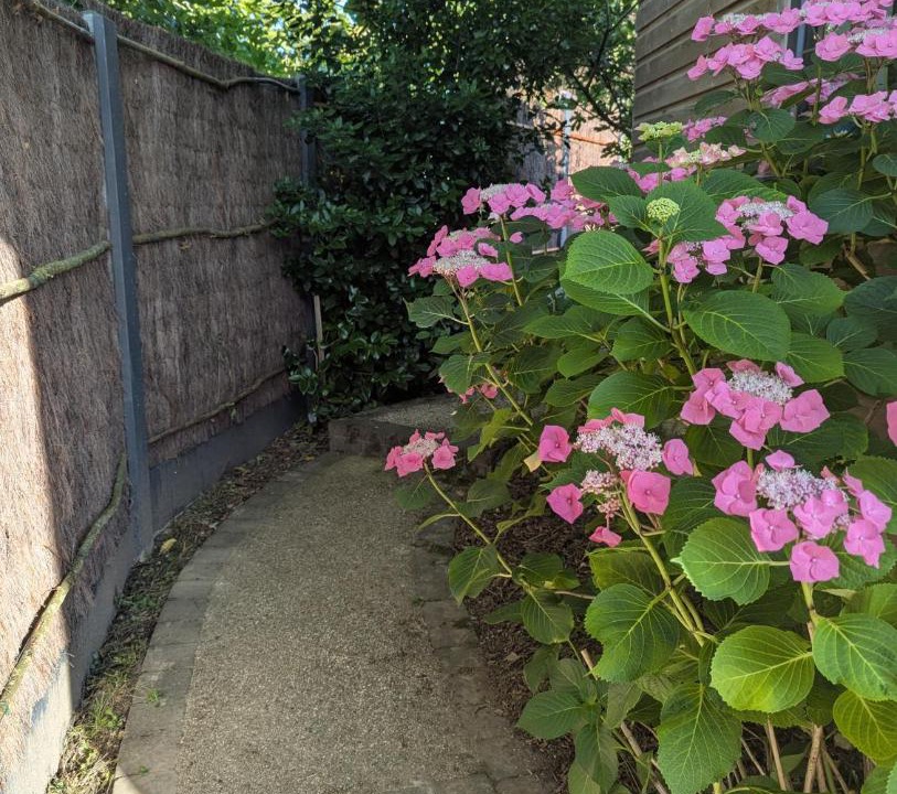 Photo of Others in Beaurainville