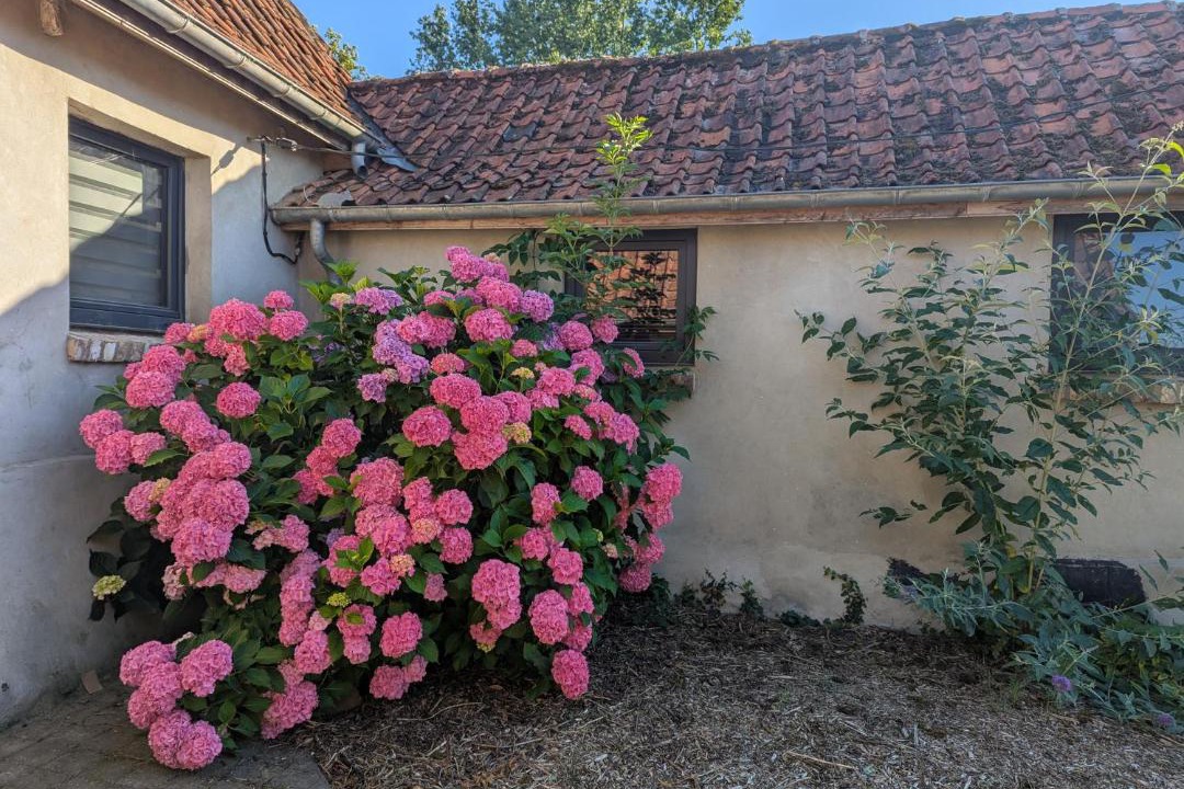 Photo of Others in Beaurainville