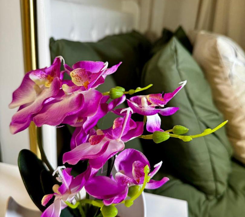 Photo of Others in Bergen