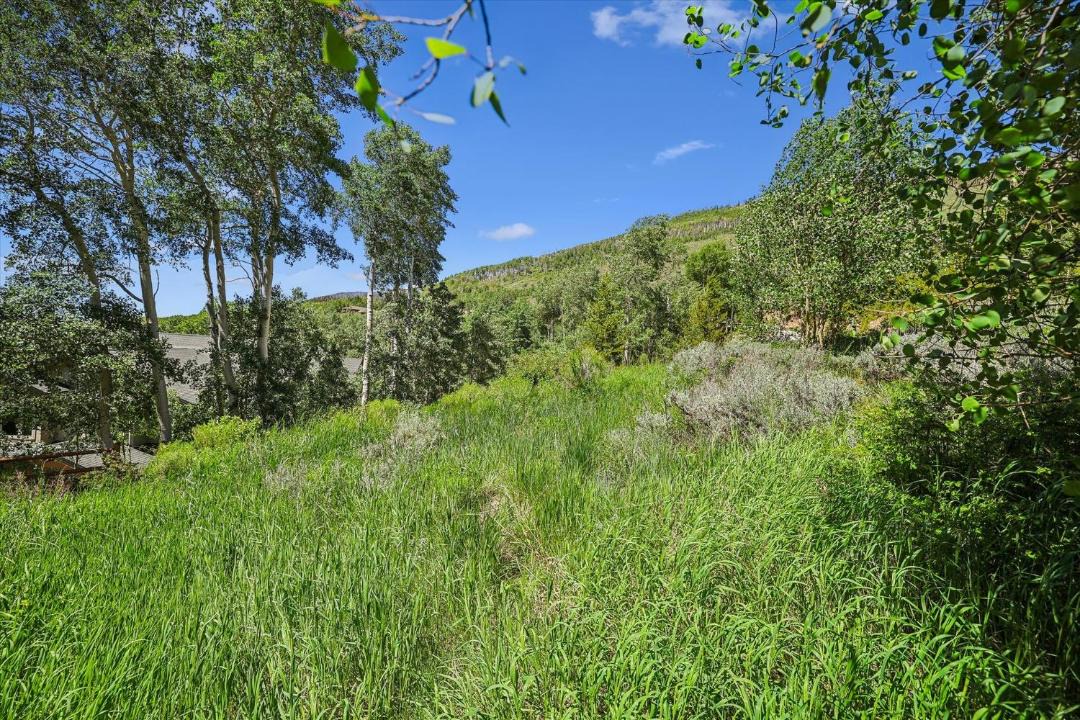 Photo of Outdoor in Hamilton Creek