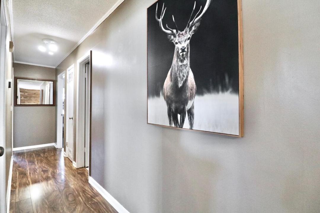 Photo of Others in Bono