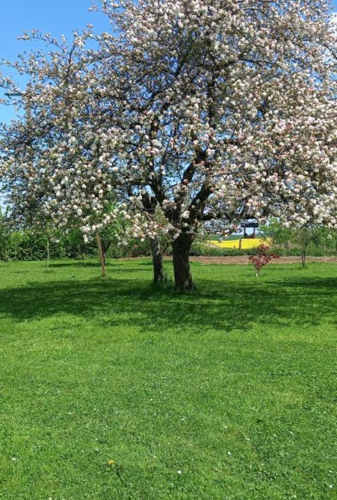 Photo of Others in La Sabotterie