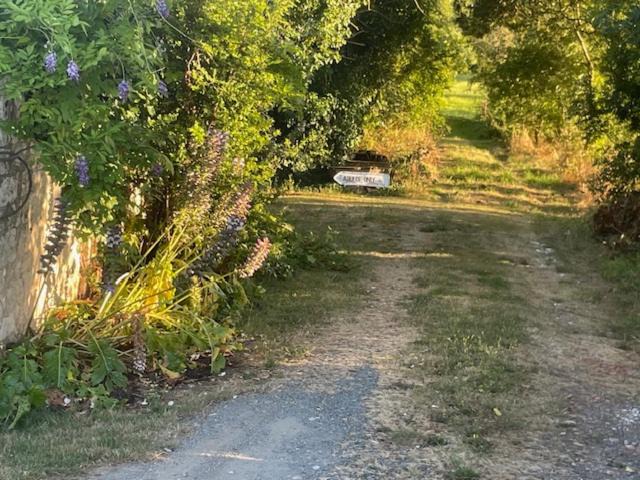 Photo of Others in Maillezais