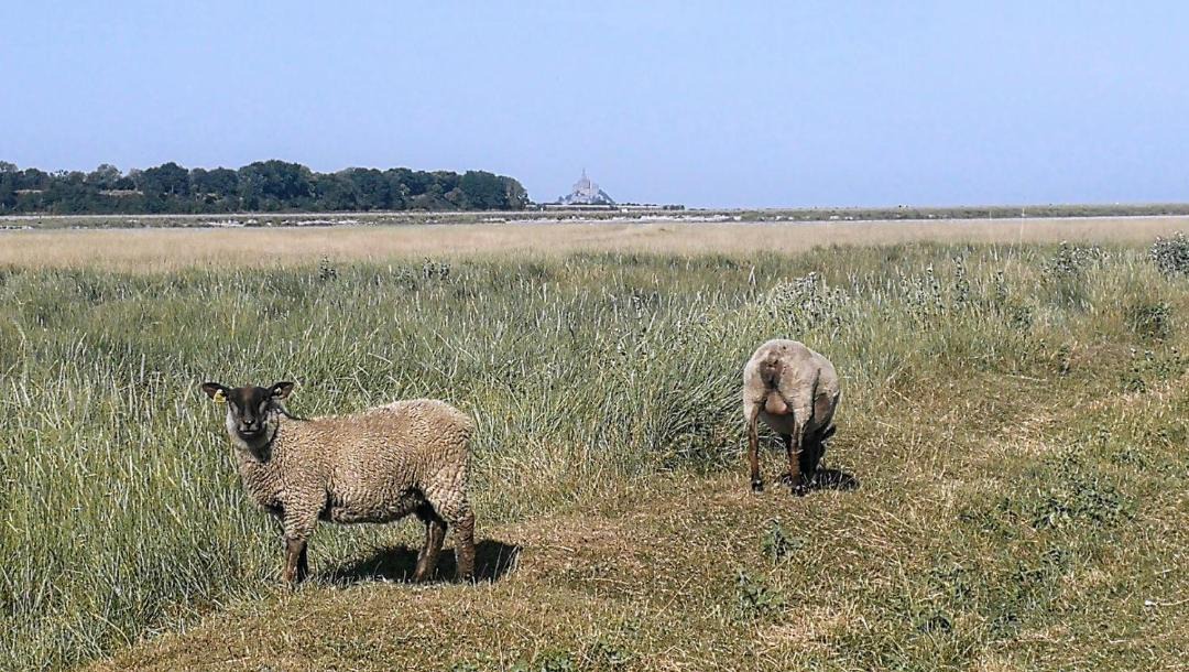 Photo of Others in Le Val-Saint-Pere