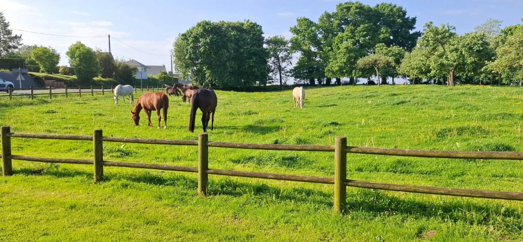 Photo of Others in Le Val-Saint-Pere