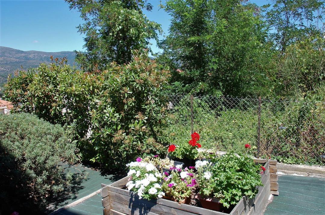 Photo of Others in Prades