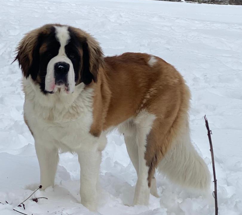 Photo of Others in Shandaken