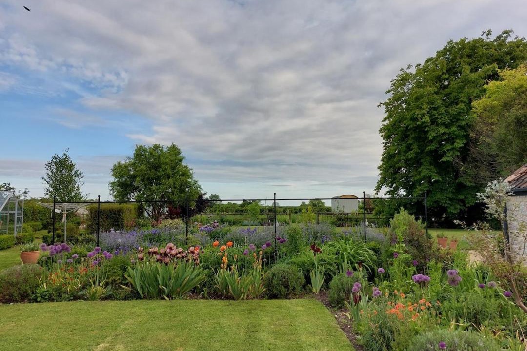 Photo of Others in Wedmore