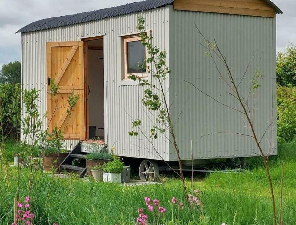 Photo of Others in Wedmore