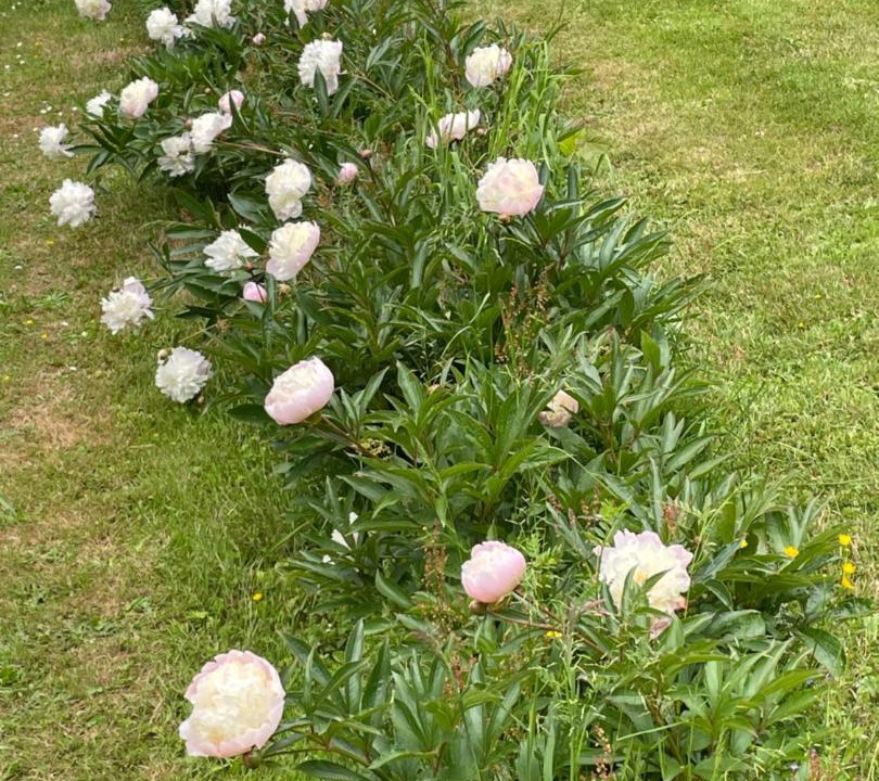 Photo of Outdoor in Vire-Normandie