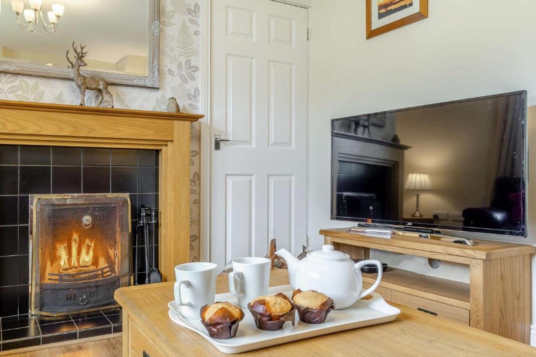 Photo of Others in Kielder