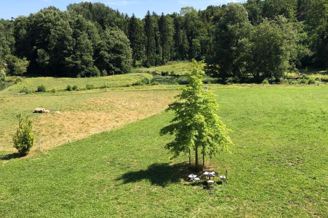 Photo of Others in Rollainville