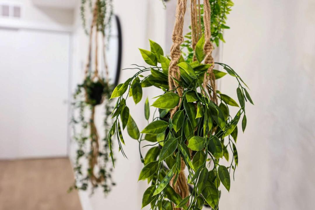 Photo of Others in Mantua