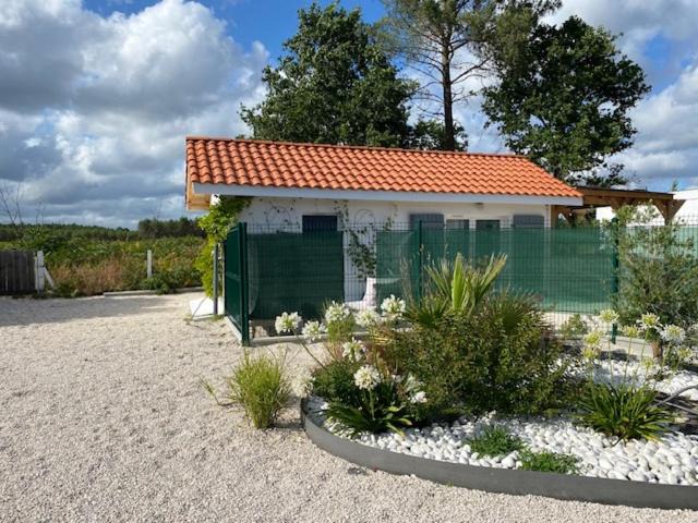 Photo of Others in Herm