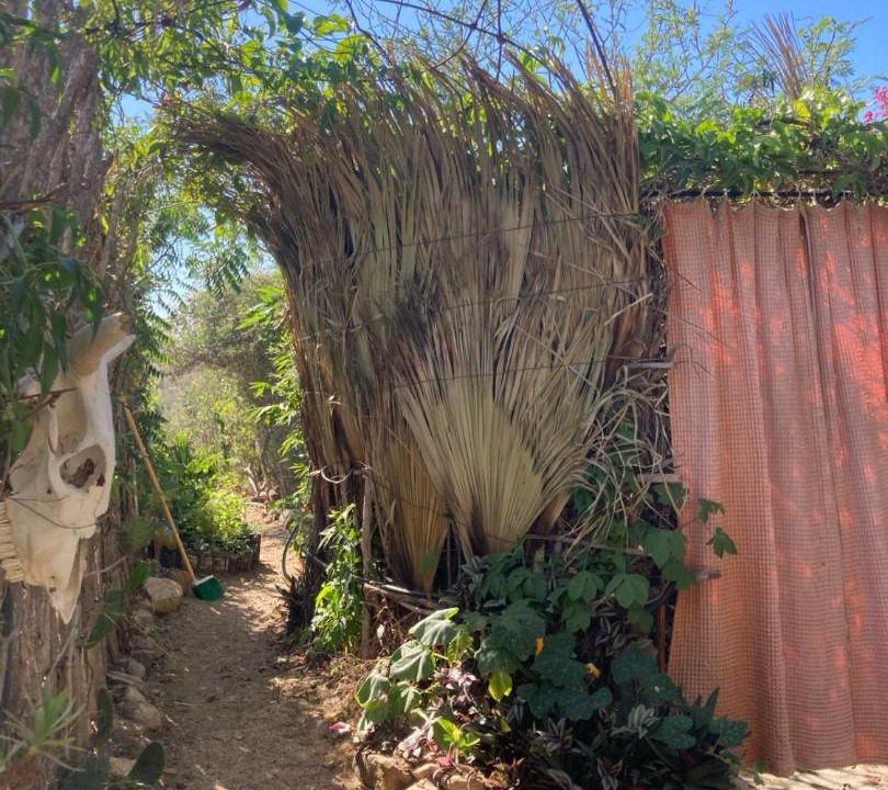 Photo of Others in Cerritos