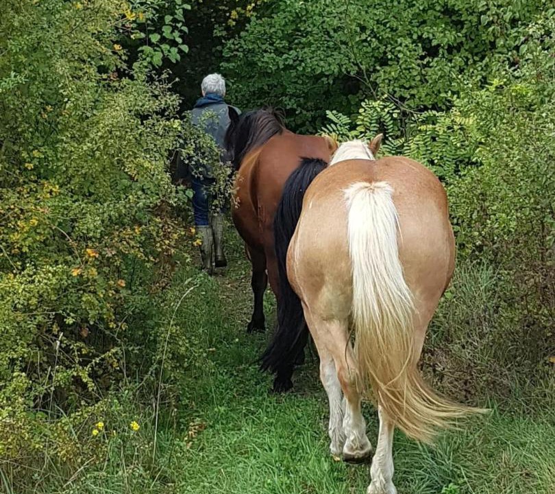 Photo of Others in Hauterives