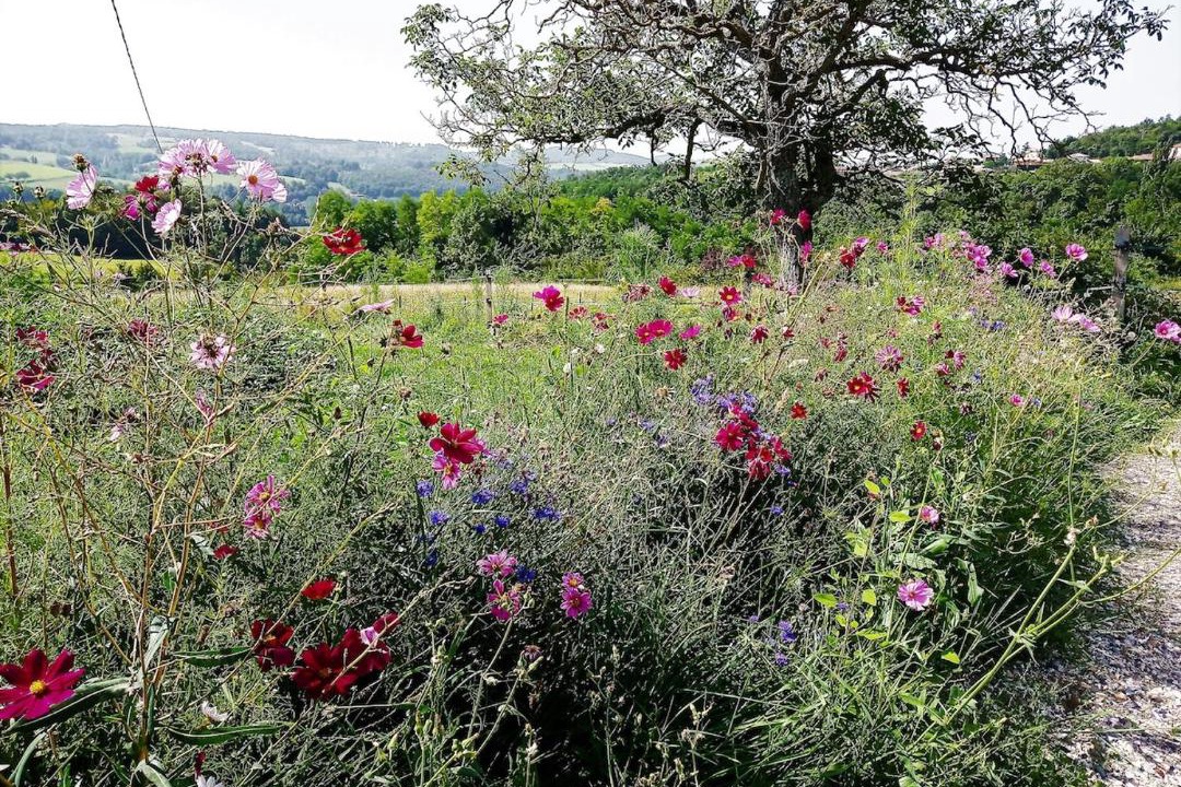 Photo of Outdoor in Hauterives