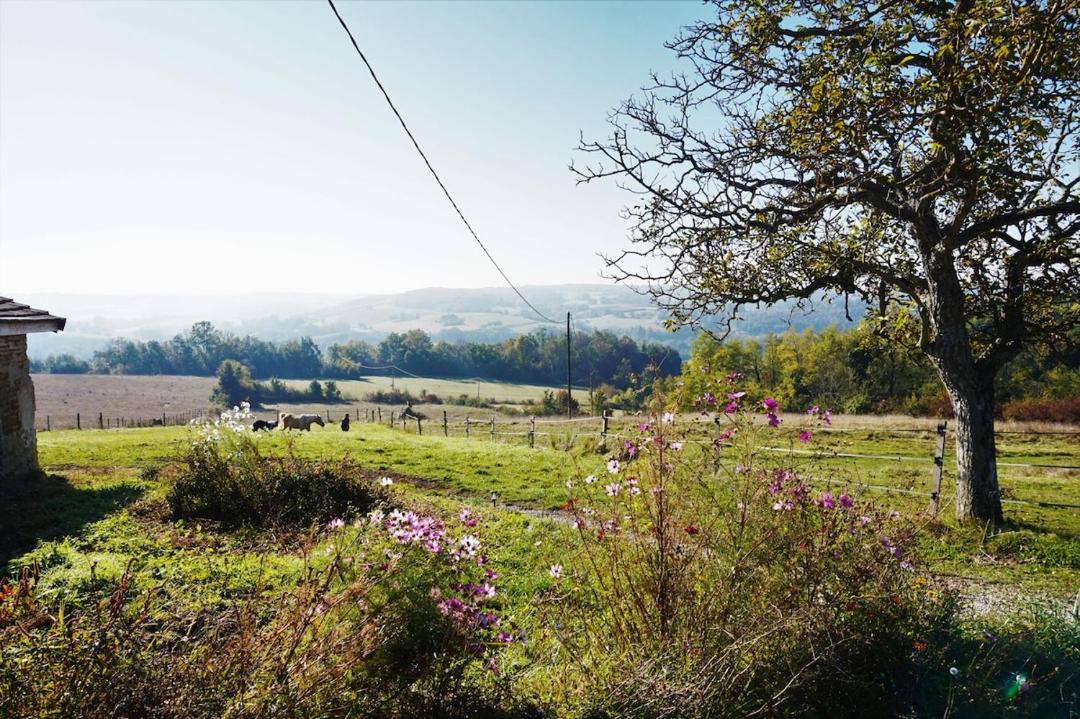 Photo of Others in Hauterives