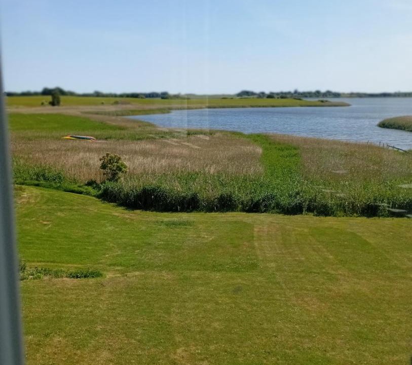 Photo of Others in Stege