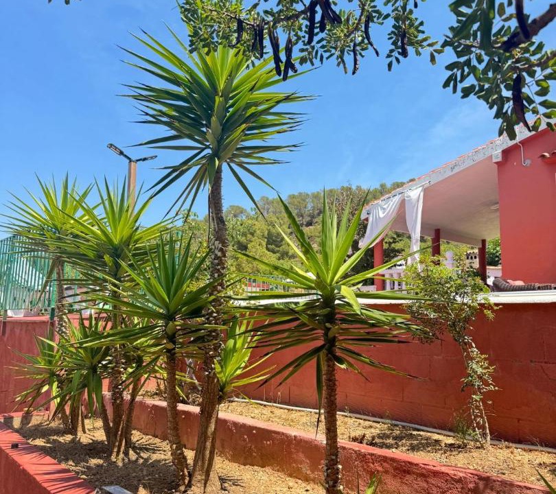 Photo of Others in Olocau