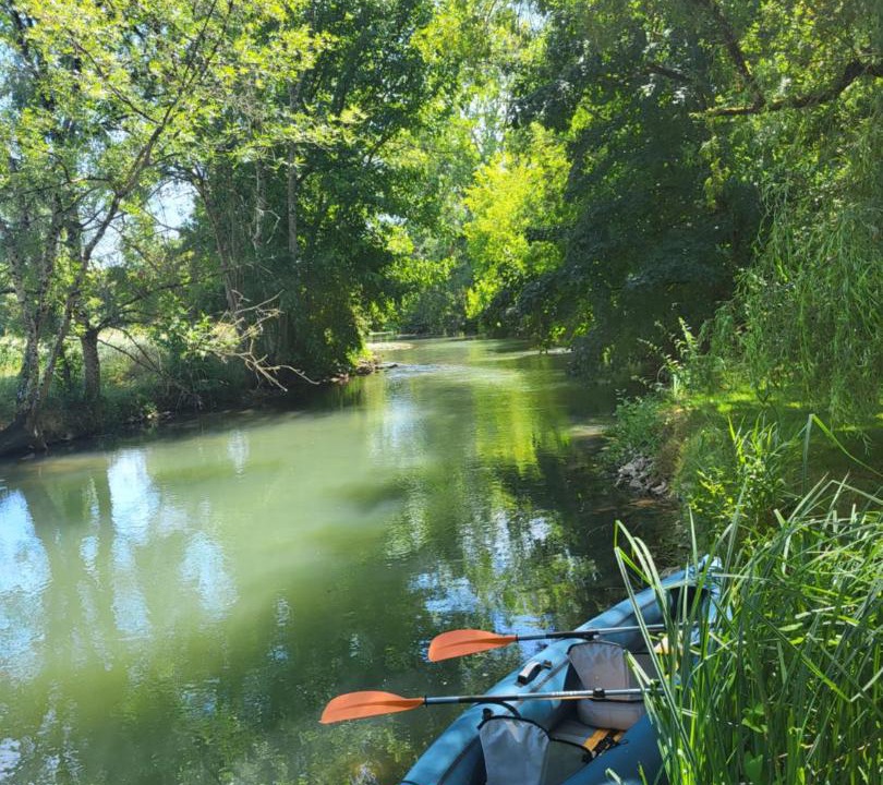 Photo of Others in Marnay