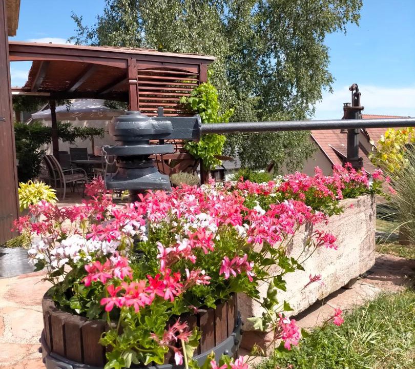 Photo of Others in Nothalten