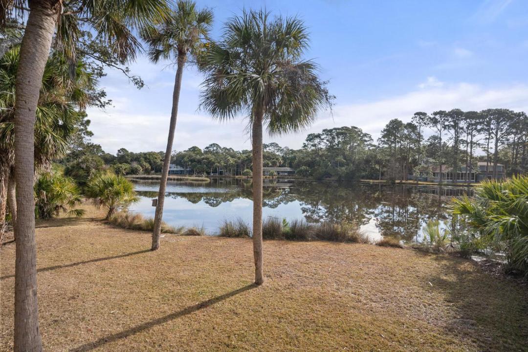 Photo of Others in Blue Heron Lake
