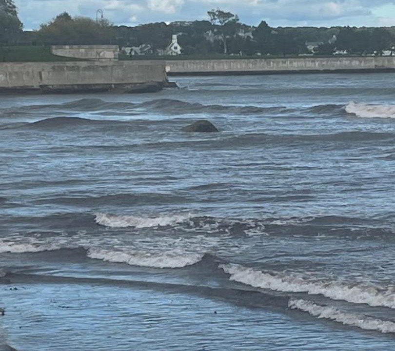 Photo of Others in Swampscott