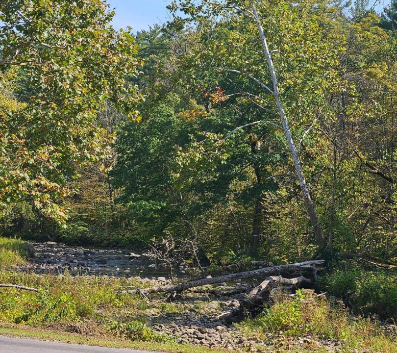 Photo of Others in St. Johnsville