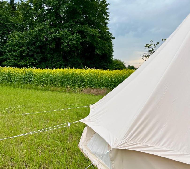 Photo of Others in Ringe