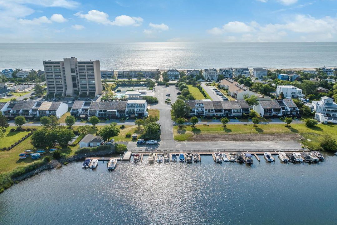 Photo of Others in North Shores