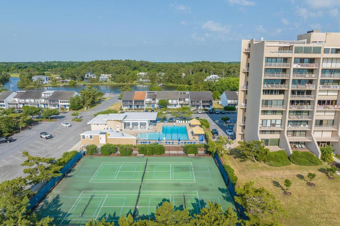 Photo of Others in North Shores