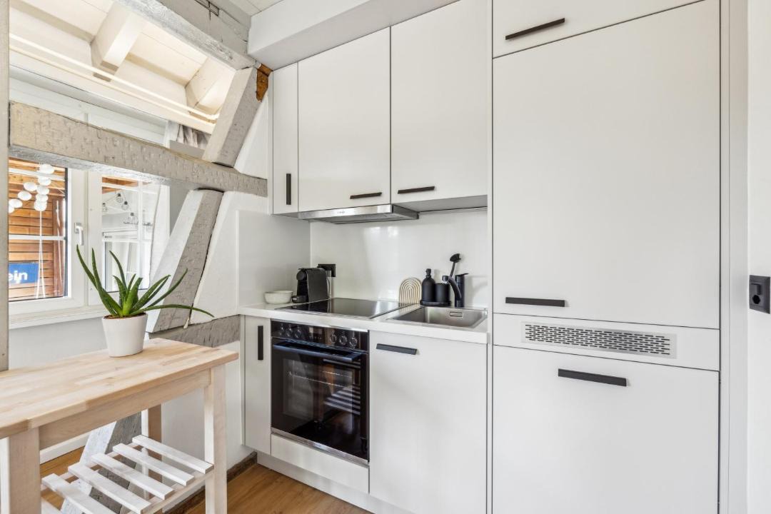 Photo of Kitchen in Andelfingen District