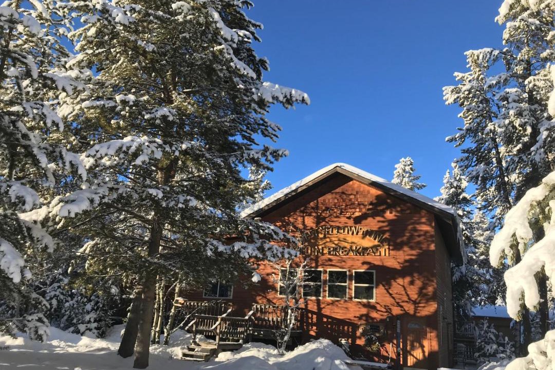 Photo of Others in West Yellowstone