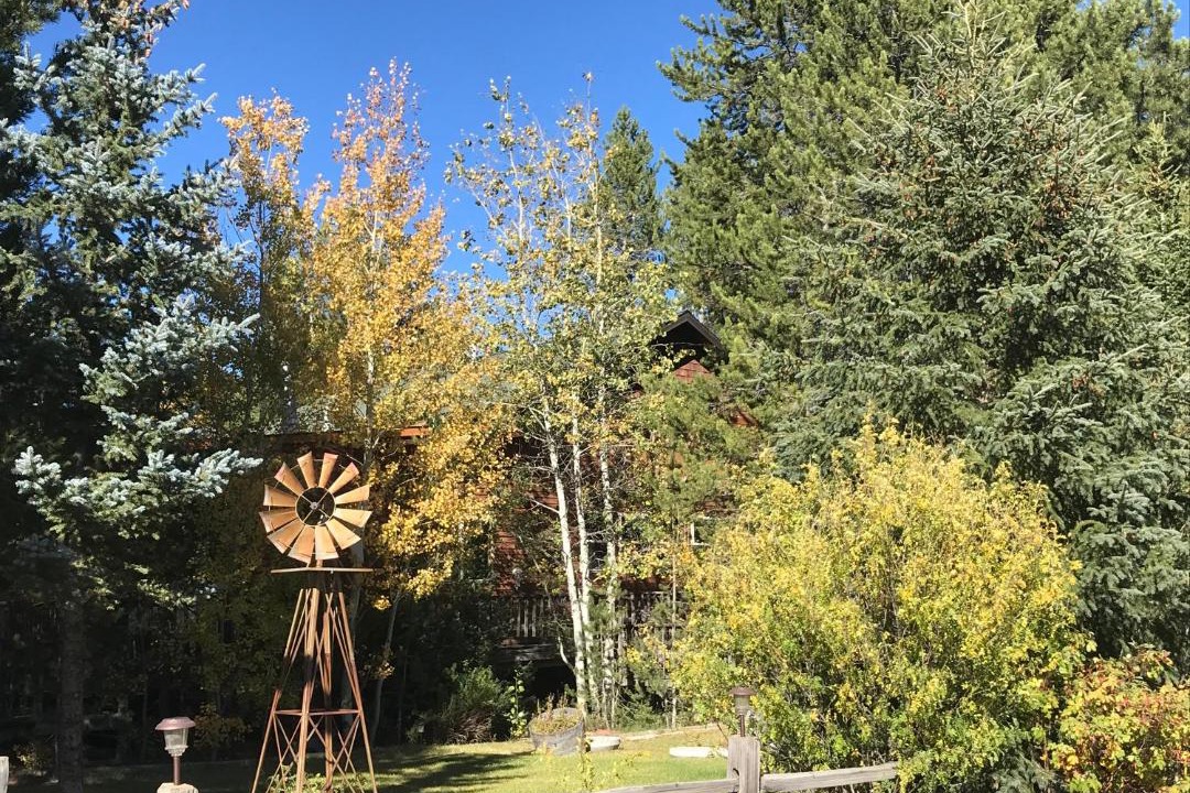 Photo of Others in West Yellowstone