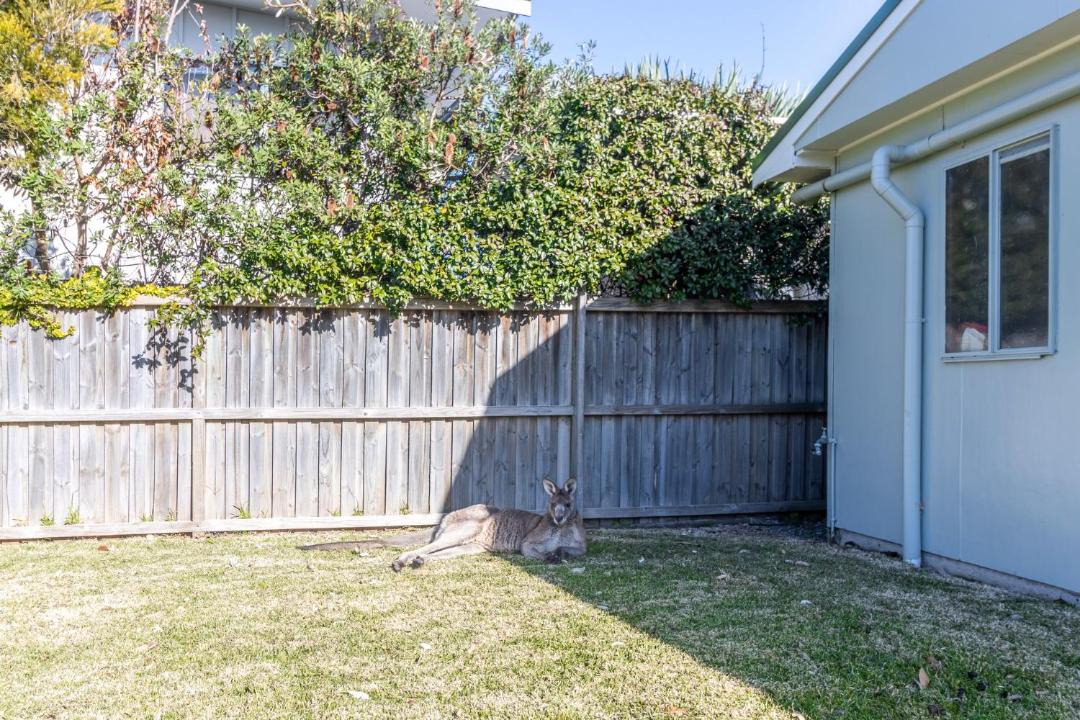 Photo of Others in Cudmirrah