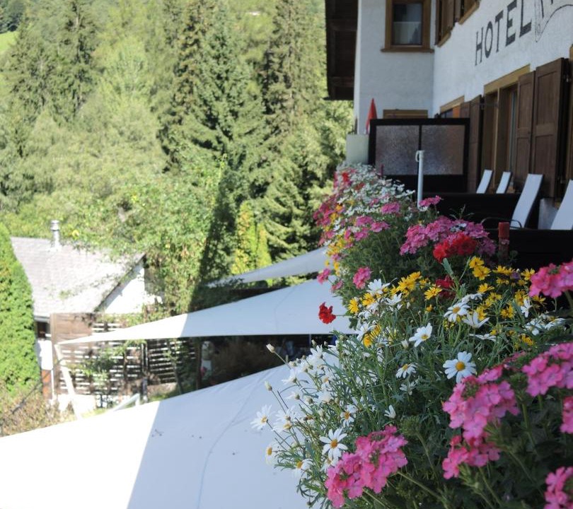 Photo of Others in Bregaglia
