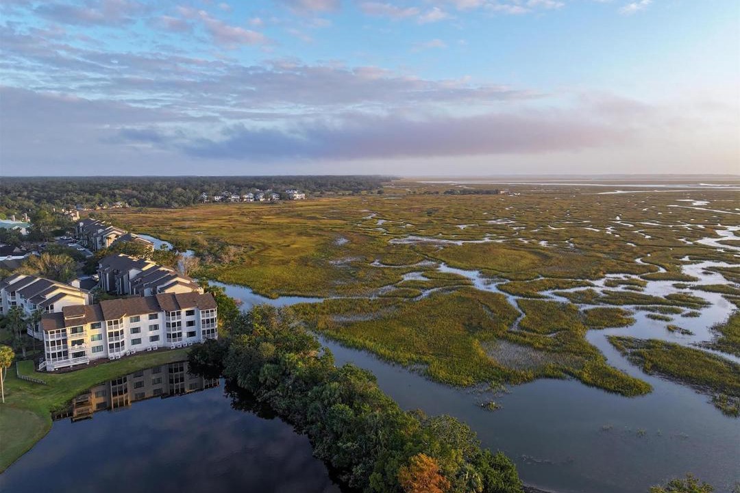 Photo of Others in St. Simons Island