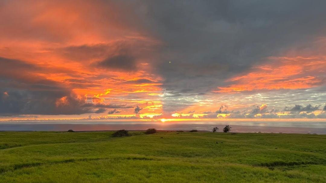 Photo of Others in Naalehu