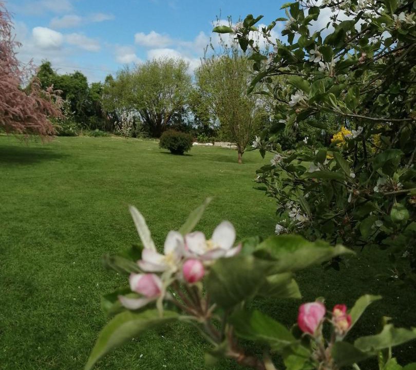 Photo of Others in Saint-Ouen-du-Mesnil-Oger