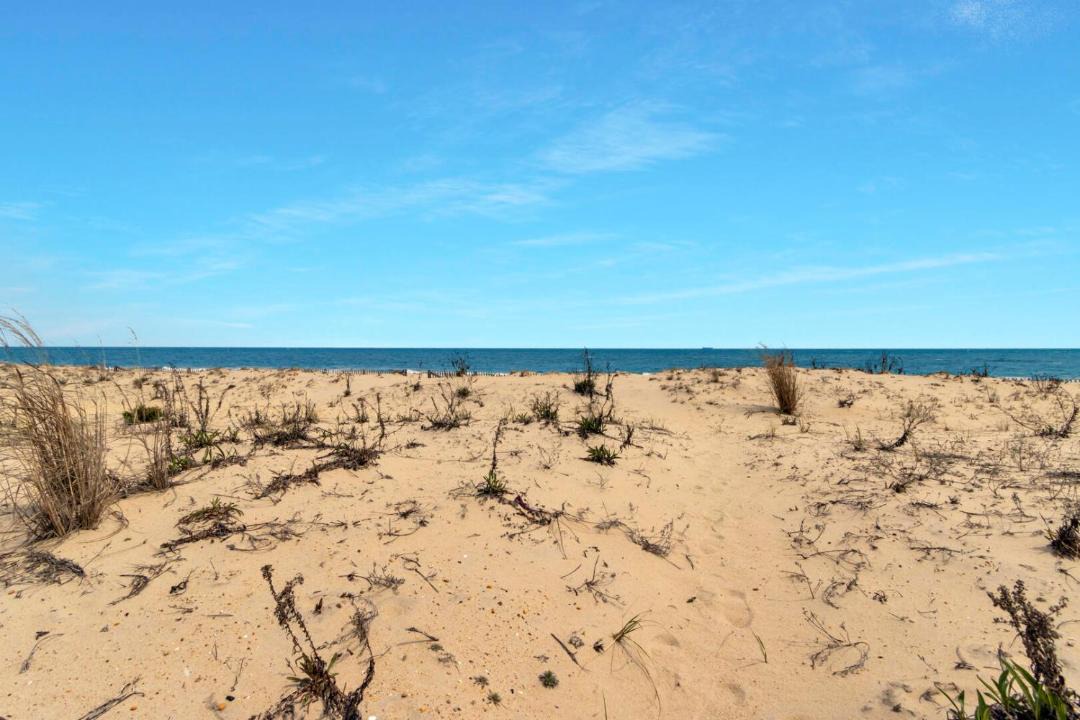 Photo of Others in North Shores