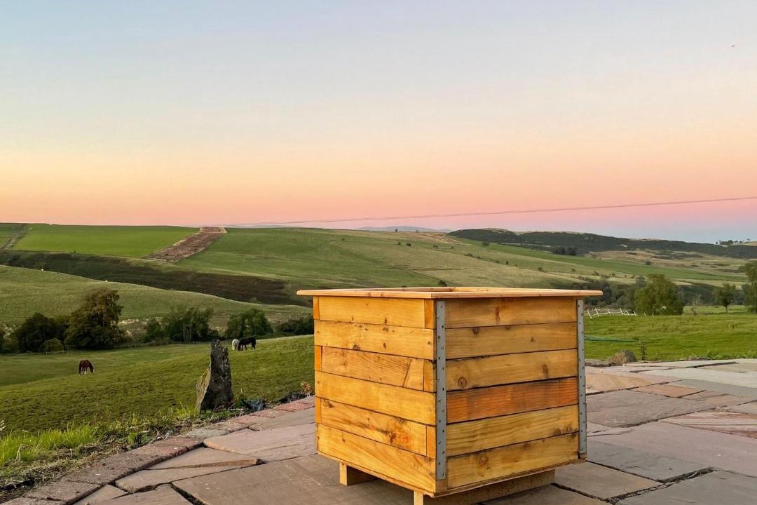 Photo of Others in Denny