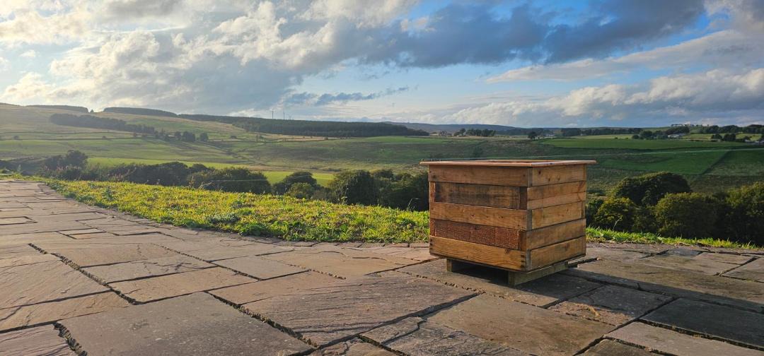 Photo of Others in Denny